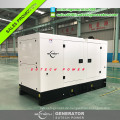 Angetrieben durch importierten BRITISCHEN Motor 1103A-33G, Dieselgenerator 25 kva Generator stellte 20 Kilowattpreis ein